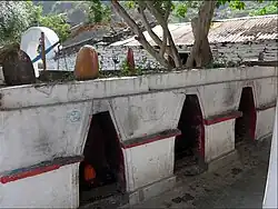 Nath yogis graves