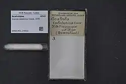 Specimen