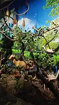 Nature conservation room Morni
