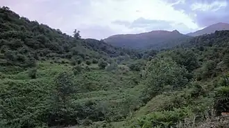 Sangechal