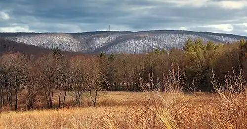 Snow-covered mountains in Nescopeck State Park