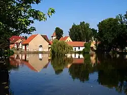 Centre of Nesuchyně