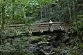 New Bridge on the Falls Trail