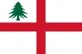 Naval jack drawn by John Graydon in 1686, consisting of Saint George's Cross with a pine tree in the canton.[38]