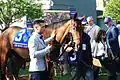 New Money Honey, winner of the Juvenile Fillies Turf