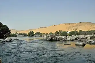 First Cataract