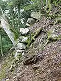 Remnants of walls of the inner bailey