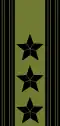 Army