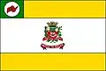 Flag of Novo Horizonte