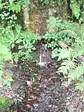Spring and old water pipe at headwaters
