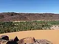 Palm grove between rocks and dunes