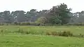 Old Bodney Camp