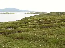 The 'lazy beds' of Harris