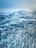 Onalaska by Air