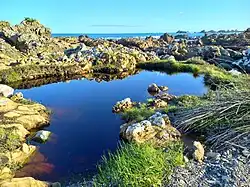 Pool of water in the rocky shore with the ocean in the background