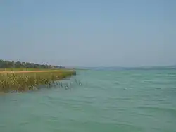 Shore of Lake Petén Itza.