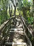 Indian Mound Park boardwalk
