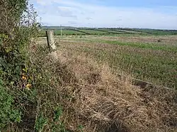 Fields in Knocklucy