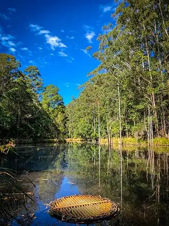 Lagoon at Maroochy Bushland Botanical Gardens, 2018