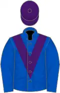 Royal blue, purple chevron, purple cap