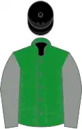 Green, grey sleeves ,black cap