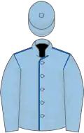 Light blue, royal blue seams, light blue sleeves and cap
