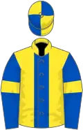 Yellow, royal blue panel, royal blue sleeves, yellow armlet, yellow and royal blue quartered cap