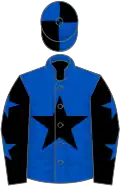 Royal blue, black star, black sleeves, royal blue stars, royal blue and black quartered cap