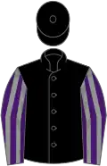 Black, purple and grey striped sleeves