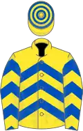 Yellow and royal blue chevrons, hooped cap