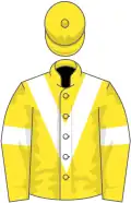 Yellow, white chevron, white armlet, yellow cap