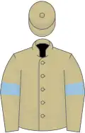 Beige, light blue armlets