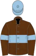 Brown, light blue hoop, armlets and cap