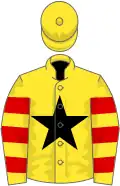Yellow, black star, red hooped sleeves, yellow cap