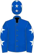 Royal blue, white stars on sleeves and cap