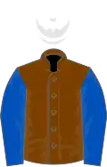 Chocolate, royal blue sleeves, white cap