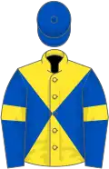 Yellow and royal blue diabolo, royal blue sleeves, yellow armlets, royal blue cap