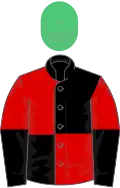 Black and red quartered, red and black halved sleeves, emerald green cap