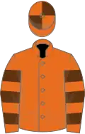 Orange, brown hooped sleeves, quartered cap