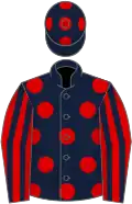 Dark blue, red spots, red and dark blue striped sleeves