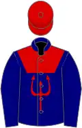 Navy blue, red yoke and stripe, red cap