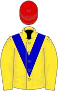 Yellow, blue chevron, red cap