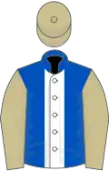Royal blue, white stripe, beige sleeves and cap