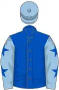 Royal blue, light blue sleeves, royal blue stars, light blue cap