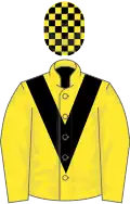 Yellow, black chevron, check cap