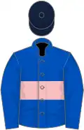 Royal blue, pink hoop, dark blue cap