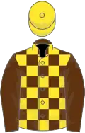 Brown and yellow check, brown sleeves, yellow cap