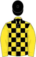 YELLOW and BLACK check, YELLOW sleeves, BLACK cap