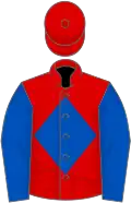 Red, royal blue diamond and sleeves