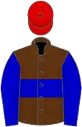 Brown, blue hoop, blue sleeves, red cap